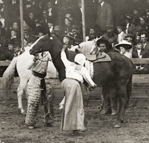 MrsWilder1910
